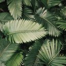 선정중학교 이미지