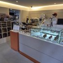 오델리스 이미지