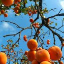 원주장애인보장구센터 이미지