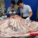 (주)일당 이미지