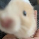 [25년 3분기] 헬스피아 | [도쿄 워홀] 25년 3분기 워홀 합격 후기