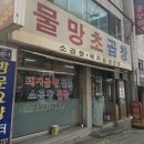 물망초곱창
