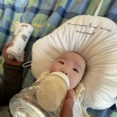 승수목장 | 미루고 미루던 미로그