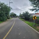 오설록 교차로 이미지