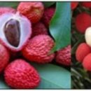 CW-0145-01 이미지