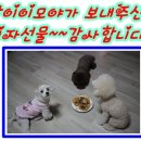 탄이맘