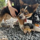 시월제빵소 이미지