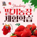 한라태권도7관 이미지