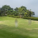 골프존카운티 드래곤 | 광주 근교 골프장 ‘골프존카운티 드래곤’ 다녀온 후기