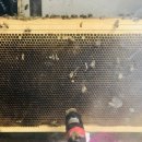 (주)성영 이미지