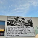여수 갈치한상 이미지