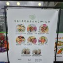서진학교 | [대전 관저동] 대전 샐러드 맛집 대전 포케 맛집 관저동 샐러드 맛집, 서진샐러드 솔직후기