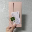 T&C | W10. 종로 도헤주얼리 티파니앤코 T&C밴드링 티앤코웨딩링 가드링 구매 후기