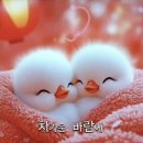 빵심이네