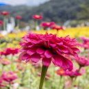 상림화원 이미지