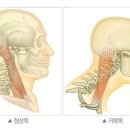 보라매스파