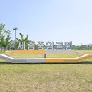 세종중앙공원 풋살장 네이버블로그