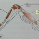 팀베스트 휘트니스 이미지