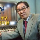 남일스포츠