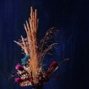 습관도 습관이다 이미지