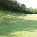 보성에덴CC 네이버블로그