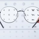 나무 휘트니스 이미지