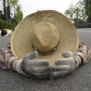 영화초교 이미지