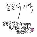 Melody ll 봄날의 기억 가사캘리그라피 이미지