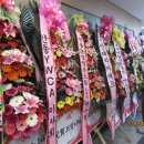 안동성소병원 이미지