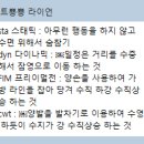 이다사