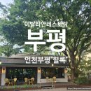 평천로74번길 네이버블로그