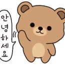 평택 스타 야시장 이미지