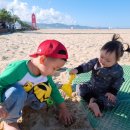 망상농장 이미지