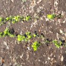 나무생각펜션 이미지