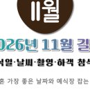 다모아결혼정보 이미지