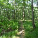 곡성-259 이미지