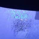 구산주유소 이미지