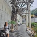 그림으로 만나는 힐링 보테니컬 아트 | 라드라비 아트 앤 리조트 청담객실 조식 경기도 이천 독채숙소 미술관 도슨트투어 후기