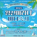 바다축제 이미지