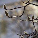 금호동 장미아파트 이미지