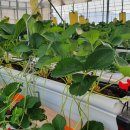 과학영농실증시험포 교육장 이미지