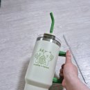 그린라인 | 글라스락 라인프렌즈 그린 메가 텀블러 사용후기
