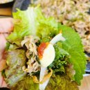 백년오리 이미지