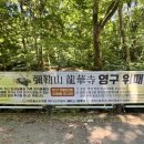 통영 용화사 후기 / 버스 내려서 10분