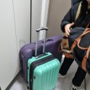 대전출장마사지용바디크림&홈케어 | 너무 힐링하는 시간이었던 산전관리 였당~~