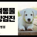 광주다온동물병원 이미지