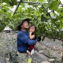 둥이농장 이미지