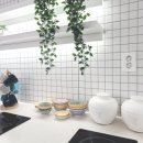 스테이 쉼 이미지