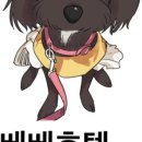 베베호텔 유치원 & 애견스파 이미지