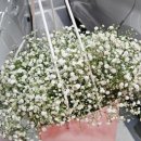 금오대로10길-1 이미지